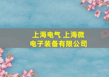 上海电气 上海微电子装备有限公司